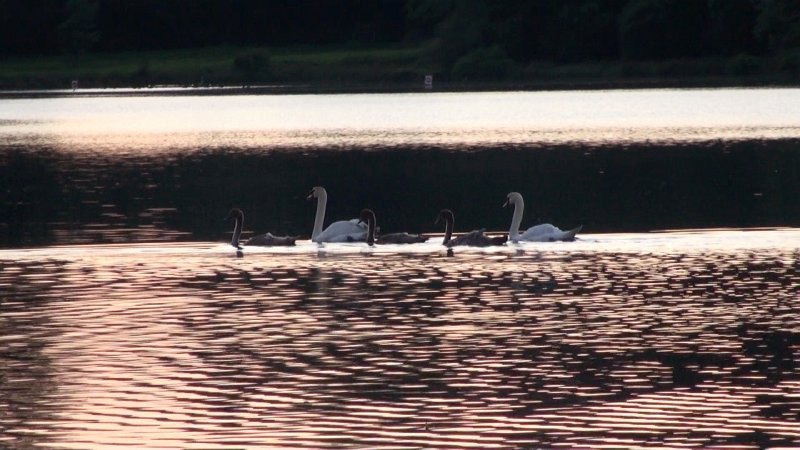 Still 63.jpeg - Lac de Huelgoat - � W. Wenger